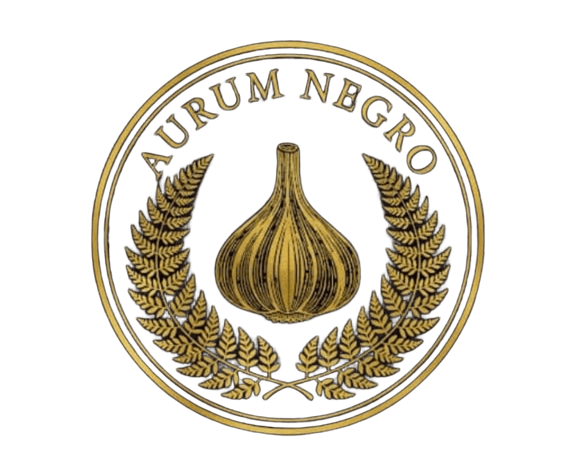 Logo Aurum Negro
